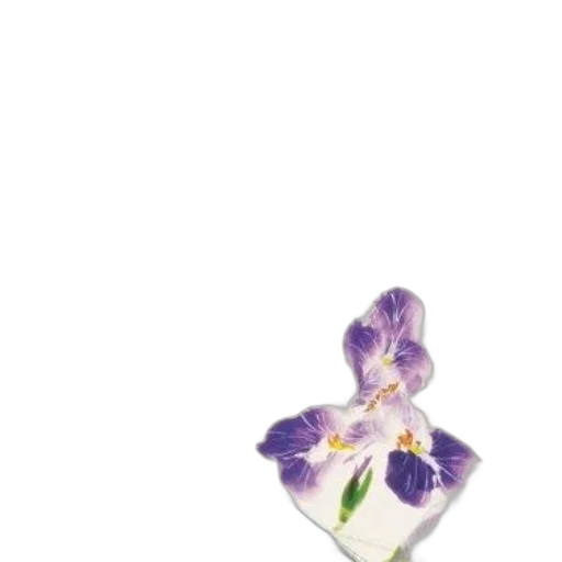 flower, jewelry, crown, bottle transparent PNG cut-out