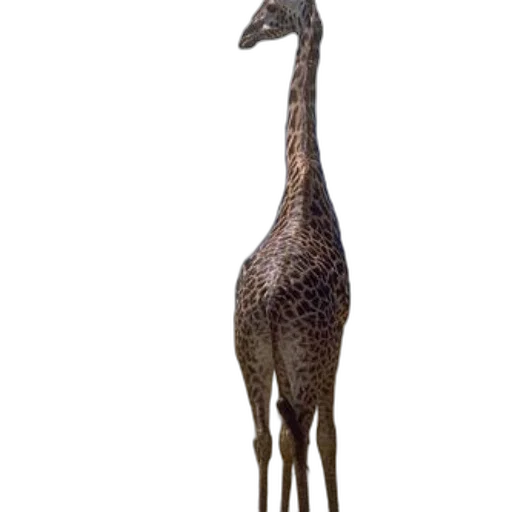 animal, creature, staff, dragon transparent PNG cut-out