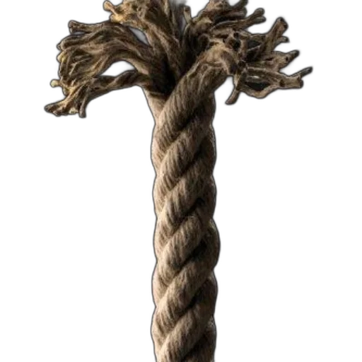 hair, staff, jewelry, tree transparent PNG cut-out