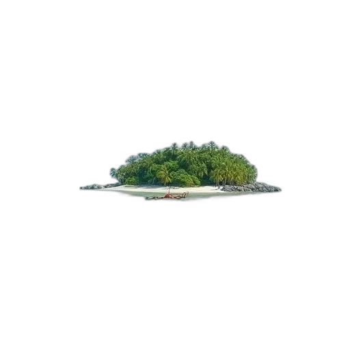 tree, crown, hat, umbrella transparent PNG cut-out