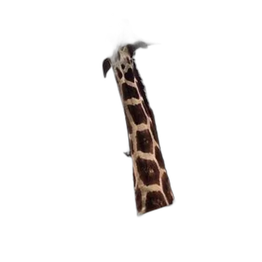 animal, staff, hat, umbrella transparent PNG cut-out