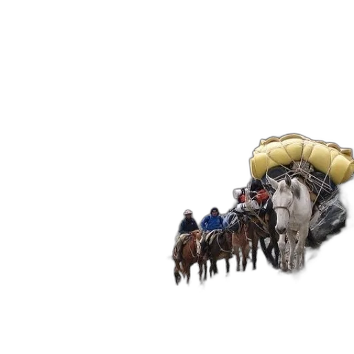 car, hat, animal, crown transparent PNG cut-out