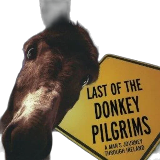 animal, last, donkey, pilgrims transparent PNG cut-out