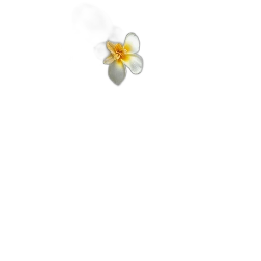 flower, jewelry, crown, staff transparent PNG cut-out