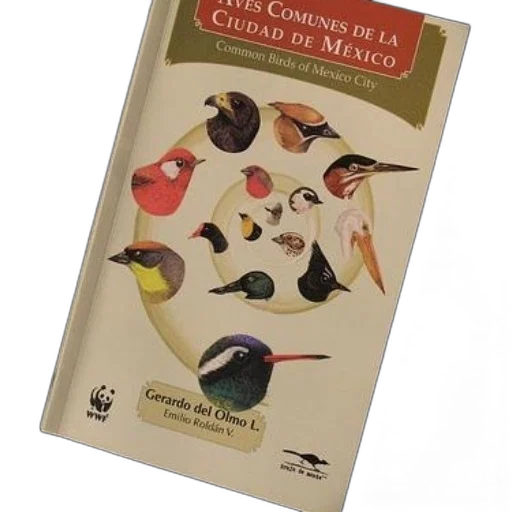 crown, book, titled, common transparent PNG cut-out