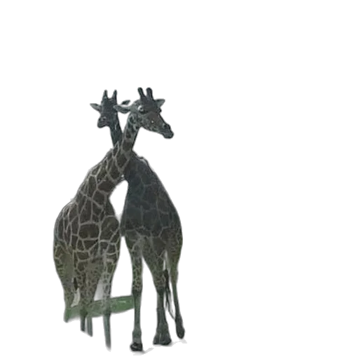 crown, animal, furniture, jewelry transparent PNG cut-out