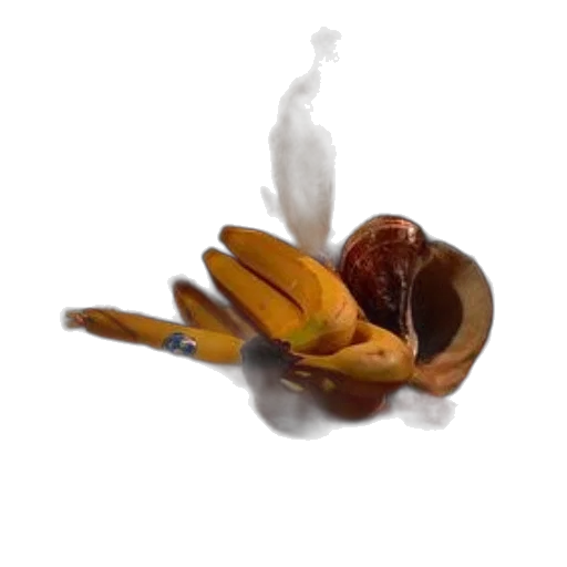 food, crown, weapon, flower transparent PNG cut-out