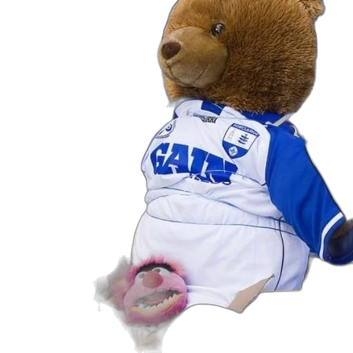 staff, jacket, stuffed, bear transparent PNG cut-out