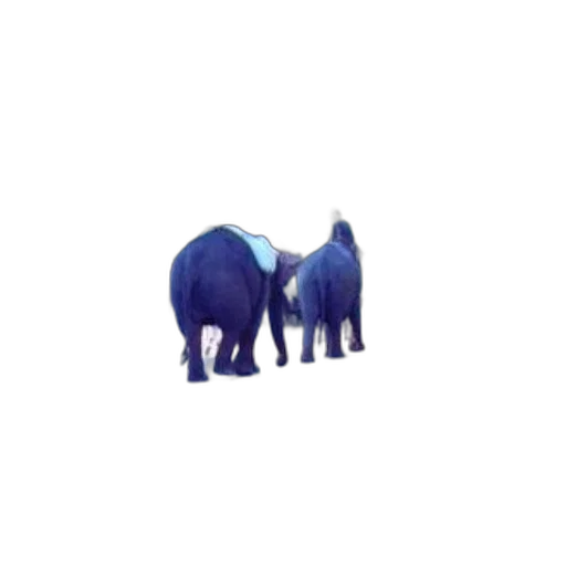 animal, creature, food, staff transparent PNG cut-out