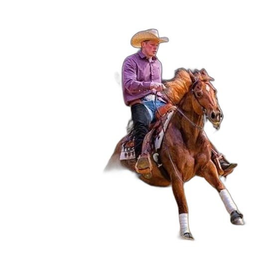 animal, hat, photorealistic, cowboy transparent PNG cut-out