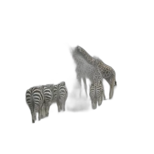 jewelry, crown, animal, furniture transparent PNG cut-out