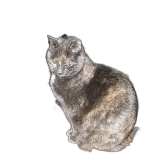 animal, creature, staff, crown transparent PNG cut-out
