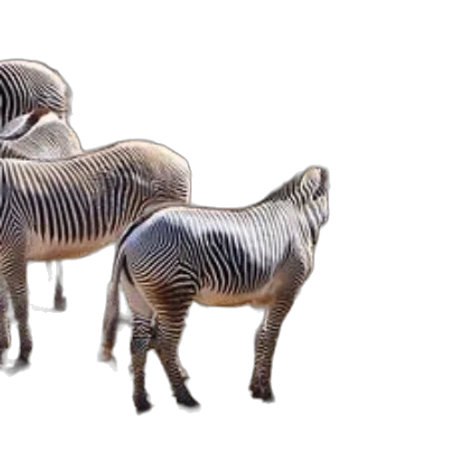animal, creature, jewelry, 3d render transparent PNG cut-out