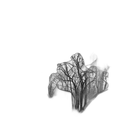 tree, crown, mask, face transparent PNG cut-out