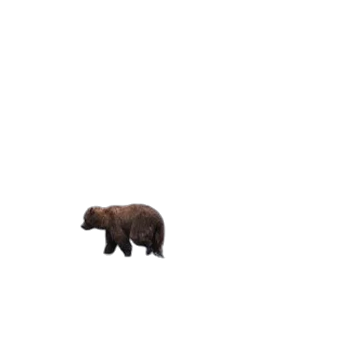 animal, creature, furniture, weapon transparent PNG cut-out
