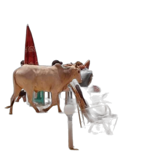 animal, furniture, creature, hat transparent PNG cut-out