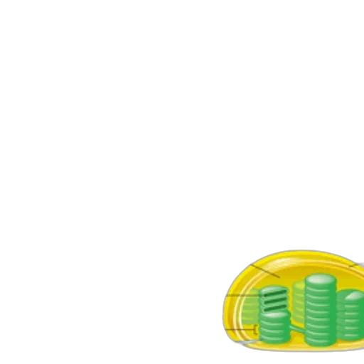 shoes, hair, jewelry, crown transparent PNG cut-out