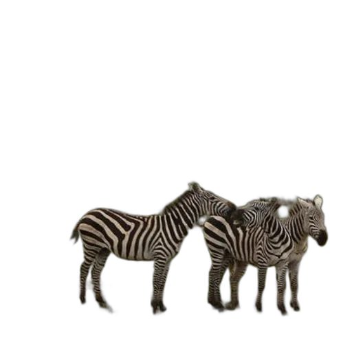 animal, creature, furniture, jewelry transparent PNG cut-out