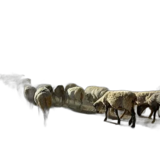 animal, dragon, staff, weapon transparent PNG cut-out