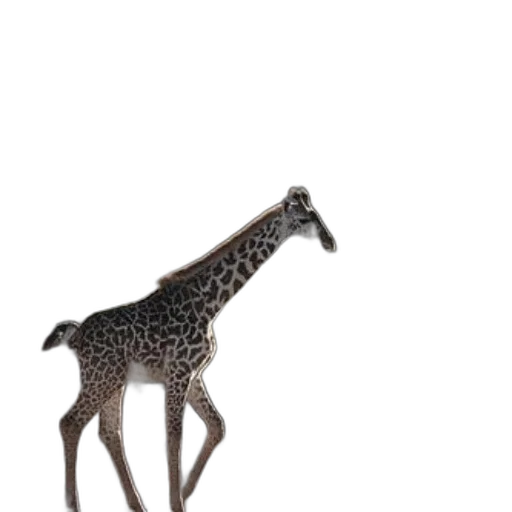 animal, creature, jewelry, staff transparent PNG cut-out