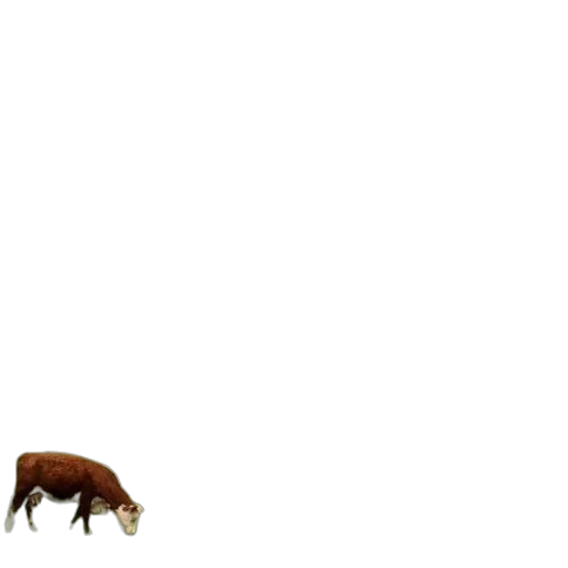 animal, creature, food, furniture transparent PNG cut-out