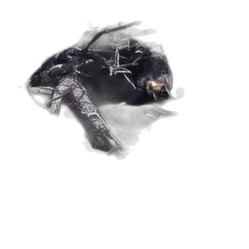 dragon, weapon, mask, creature transparent PNG cut-out