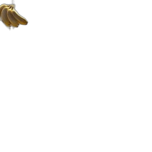 dragon, animal, creature, weapon transparent PNG cut-out