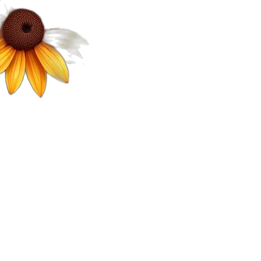 flower, weapon, crown, jewelry transparent PNG cut-out