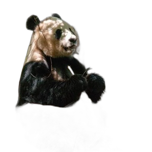 animal, staff, creature, photorealistic transparent PNG cut-out