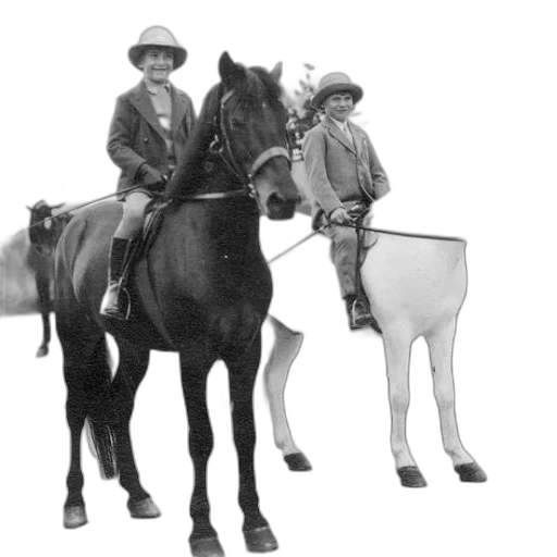 staff, hat, animal, concept art transparent PNG cut-out