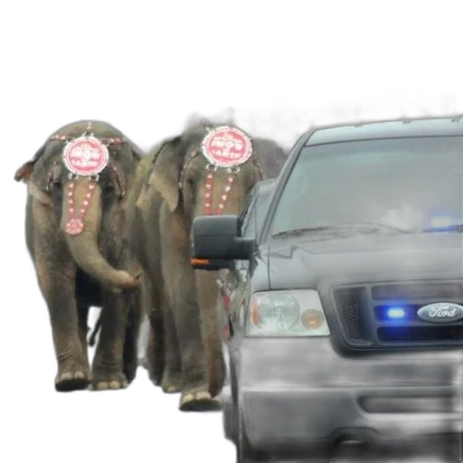 police, car, blue, lights transparent PNG cut-out