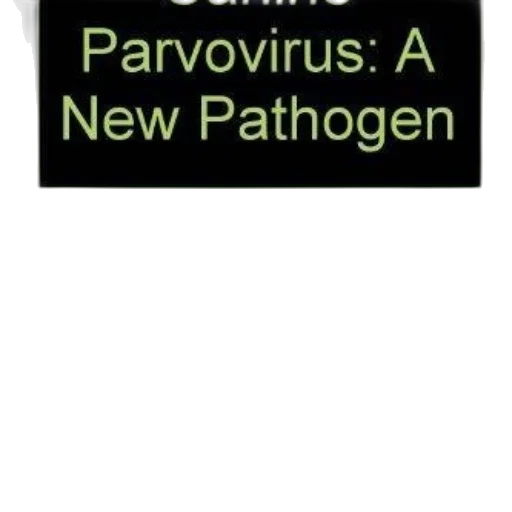book, cover, titled, canine transparent PNG cut-out