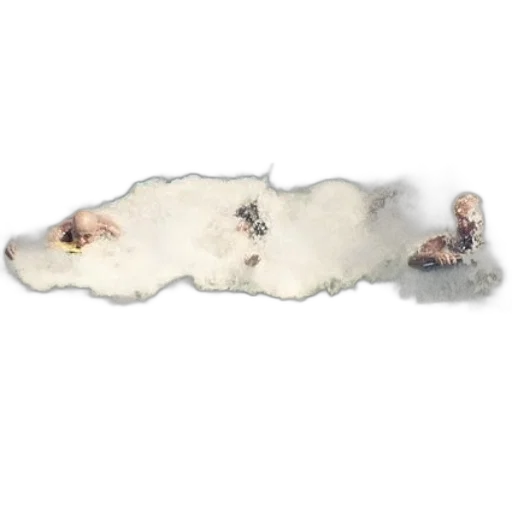 hair, dragon, shoes, staff transparent PNG cut-out