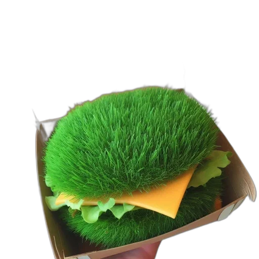 hat, food, hair, creature transparent PNG cut-out
