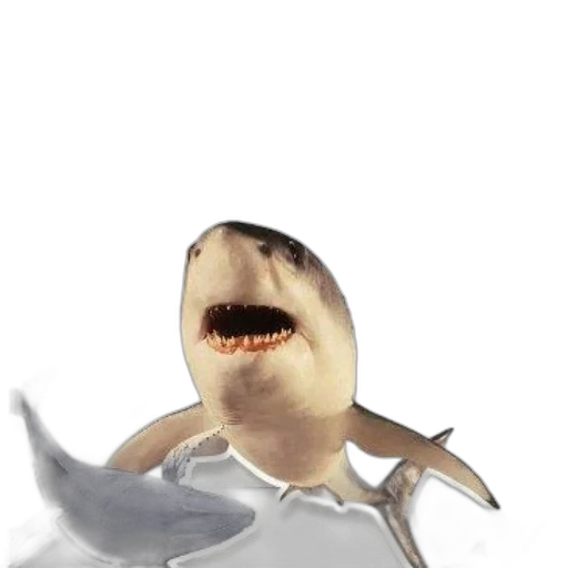 creature, animal, staff, face transparent PNG cut-out