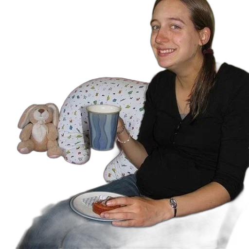 furniture, food, animal, creature transparent PNG cut-out