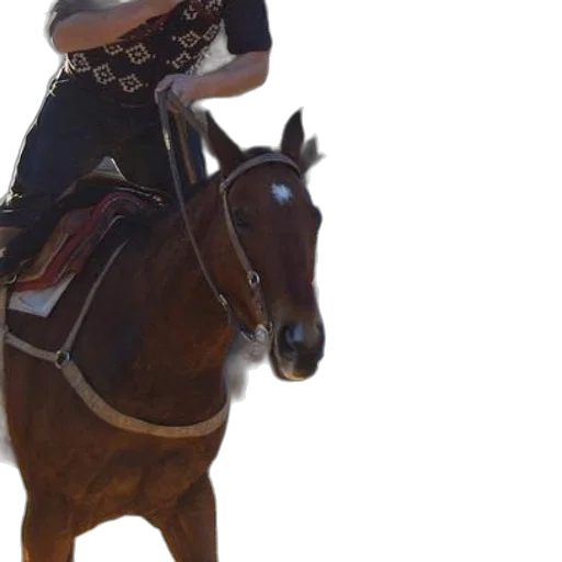 staff, animal, photorealistic, 3d render transparent PNG cut-out