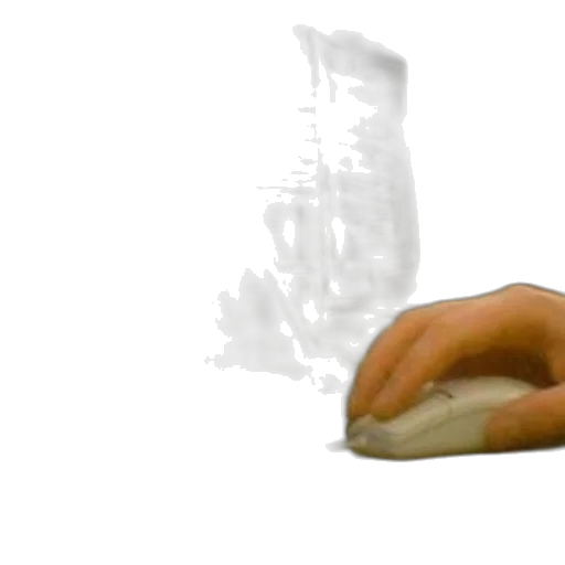 food, shoes, animal, weapon transparent PNG cut-out