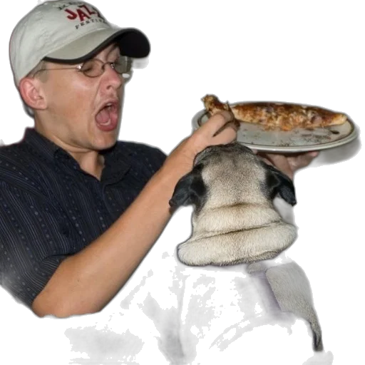 animal, food, creature, hat transparent PNG cut-out