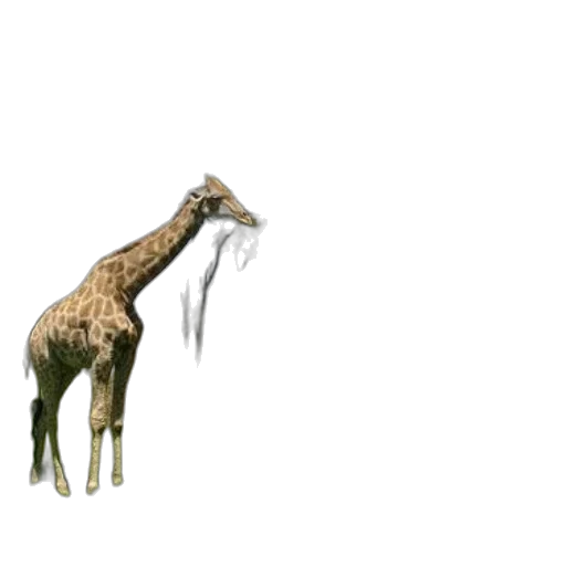 animal, creature, staff, weapon transparent PNG cut-out