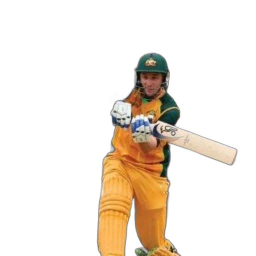 book, cover, titled, cricket transparent PNG cut-out