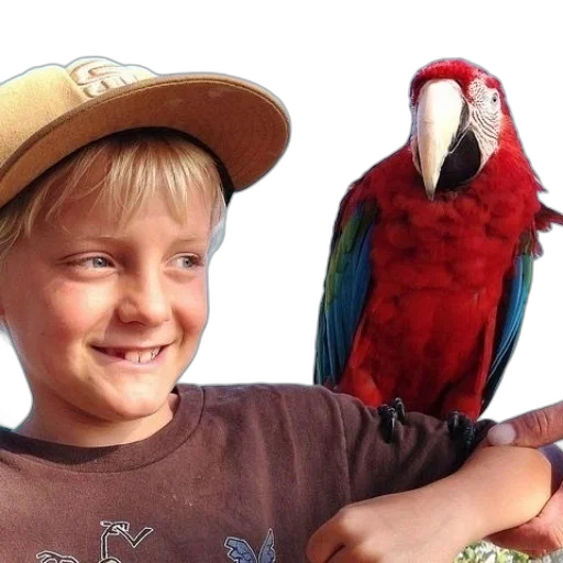 animal, hat, creature, face transparent PNG cut-out