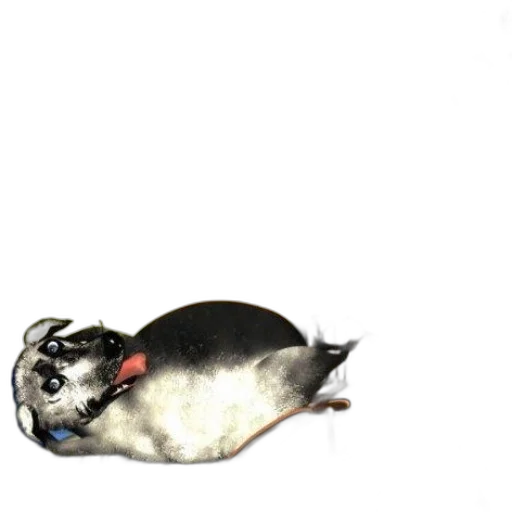 animal, creature, staff, hat transparent PNG cut-out