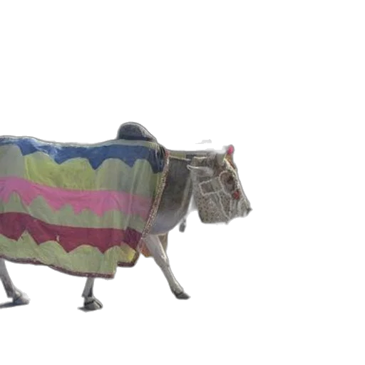animal, car, creature, umbrella transparent PNG cut-out