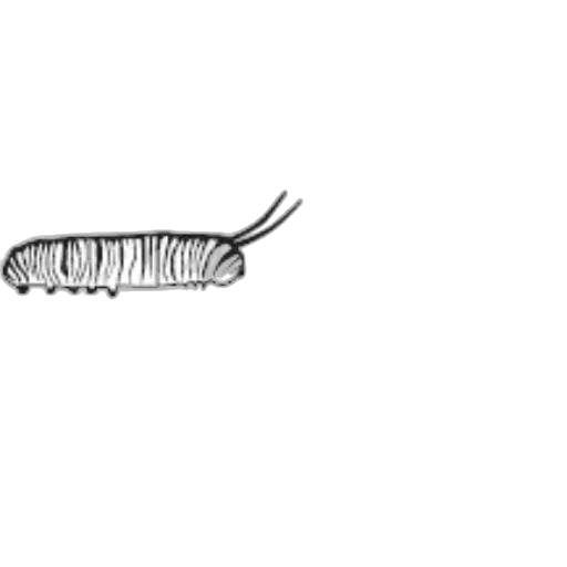 hair, animal, creature, staff transparent PNG cut-out