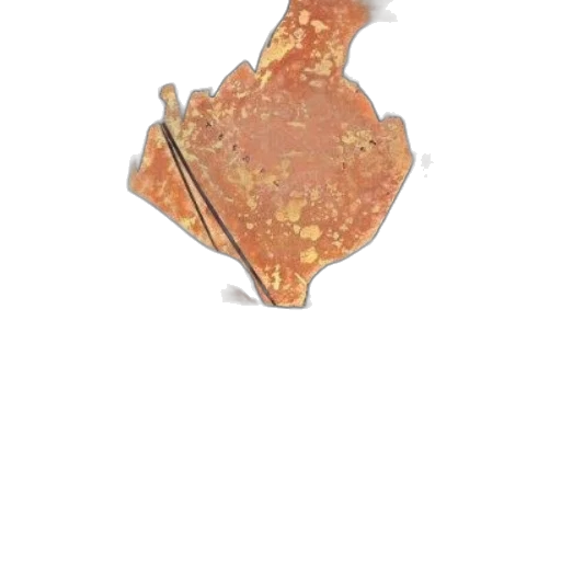 jewelry, crown, staff, food transparent PNG cut-out