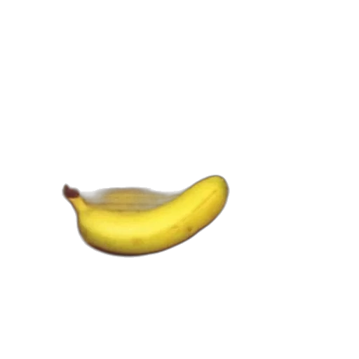 food, crown, animal, weapon transparent PNG cut-out