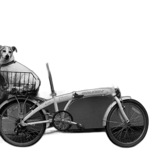 car, animal, concept art, 3d render transparent PNG cut-out