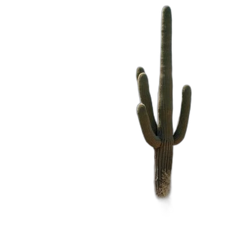 staff, weapon, hair, jewelry transparent PNG cut-out