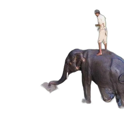 animal, creature, 3d render, concept art transparent PNG cut-out